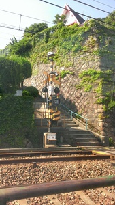 IMAG1509.jpg