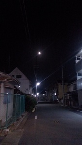 IMAG2348.jpg